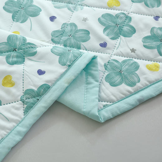 【洁丽雅】 春娇水洗被 JLY-CB922 150*200cm 商品图4