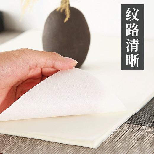宣纸国画生宣纸书法专用纸毛笔字练习纸半生半熟初学者书法练习纸 商品图1