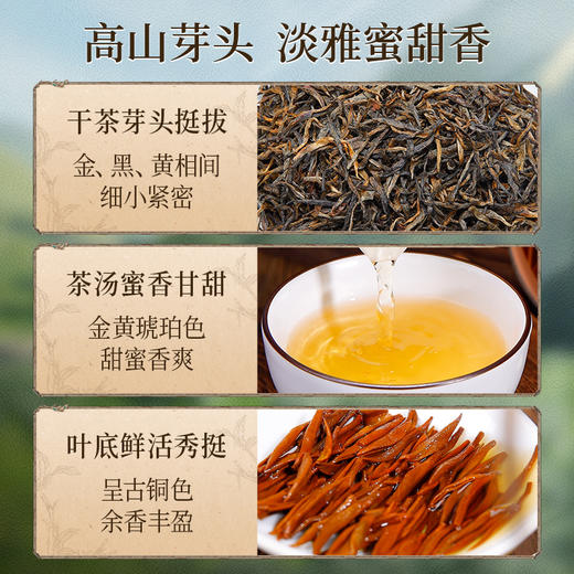 正山堂 骏眉中国广元红 四川特级红茶单芽茶叶正宗蜜香型红茶50g/100g 商品图2