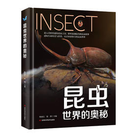 昆虫世界的奥秘