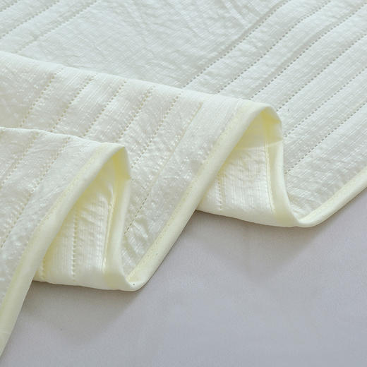 【洁丽雅】 A类原棉防螨被 JLY-CB933 200*230cm 商品图5