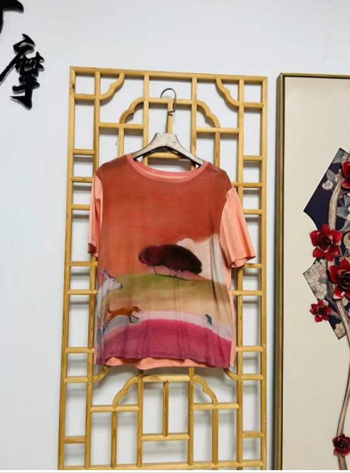 丁摩 真丝纯棉T恤半袖打底上衣XJ01-DC149-CN241-WX052 商品图13