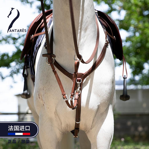 Antares法国进口马匹低头革前胸带马匹用品马术装备 商品图1