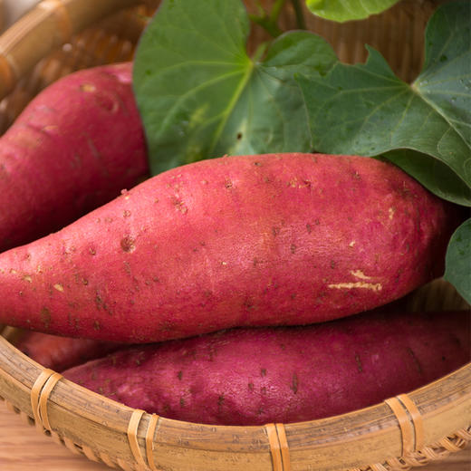 【分仓直发包邮】福建六鳌蜜薯5斤/9斤 商品图2