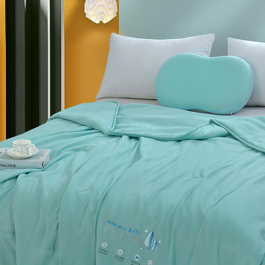 洁丽雅 玻尿酸养颜被 JLY-CB926 200*230cm 商品图2