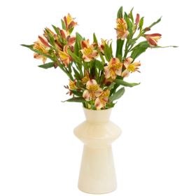 花点时间（Reflower）花束－期待相逢（水仙百合6枝 ）