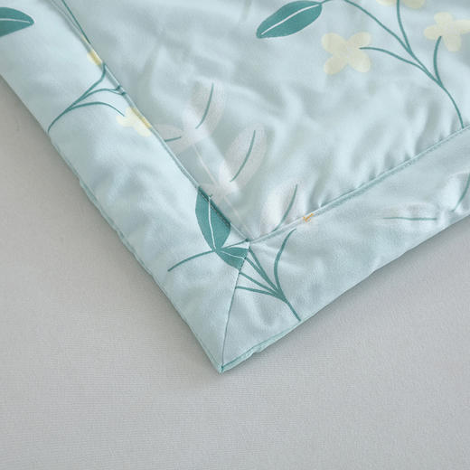 【洁丽雅】 浅陌花溪润肤被 JLY-CB921 商品图3