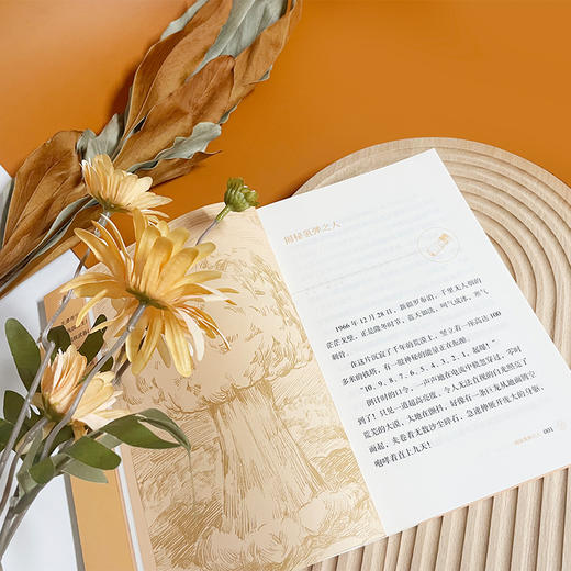 于敏：隐身为国铸核盾“共和国勋章”获得者的故事 商品图2