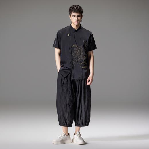 PINLI品立夏季新款新中式刺绣立领衬衫男士国潮斜襟短袖衬衣B242113130 商品图4