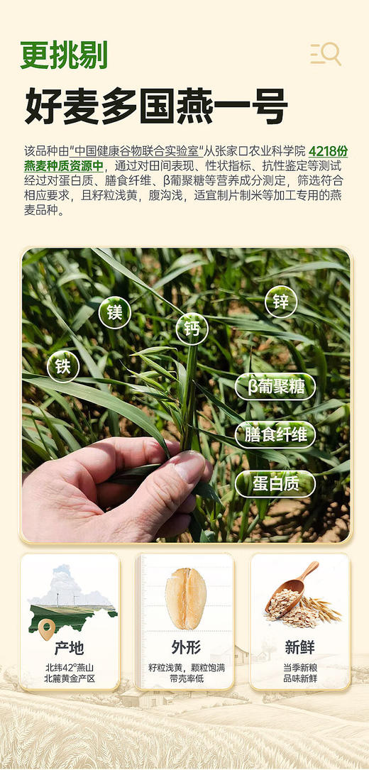 好麦多国燕一号有机燕麦片（限供版） 商品图1