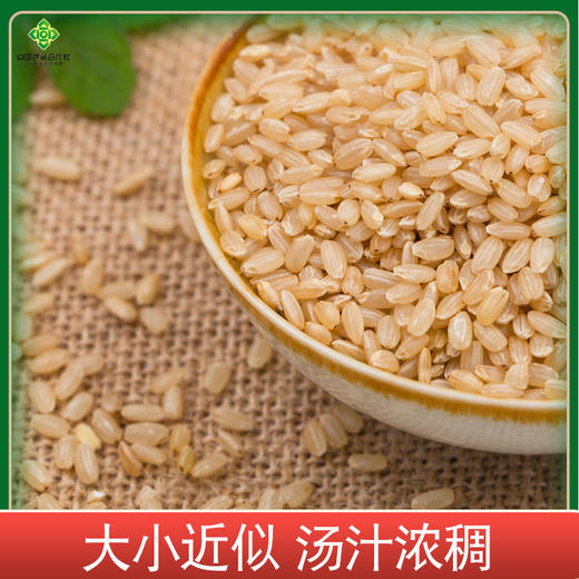 恩施馆 杂粮礼盒350g*4 商品图4