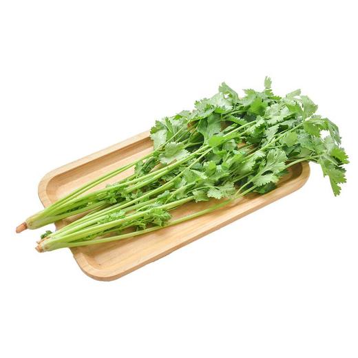 那云那南有机香菜50g（新鲜） 商品图3