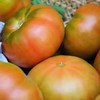 有机北京草莓西红柿 | 合作生产*Organic tomato| Coproduction 商品缩略图1