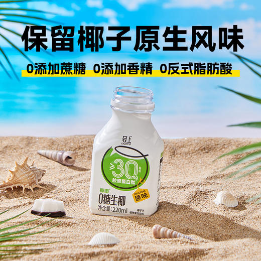 轻上0糖生椰椰汁椰奶生椰植物蛋白饮料220ml 商品图3