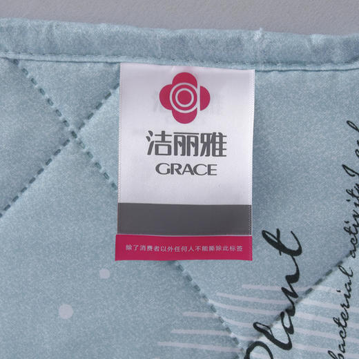 【洁丽雅】 花之恋亲肤被 JLY-CB931 150*200cm 商品图4