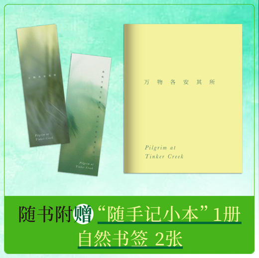 听客溪的朝圣  广西师范大学出版社 商品图2