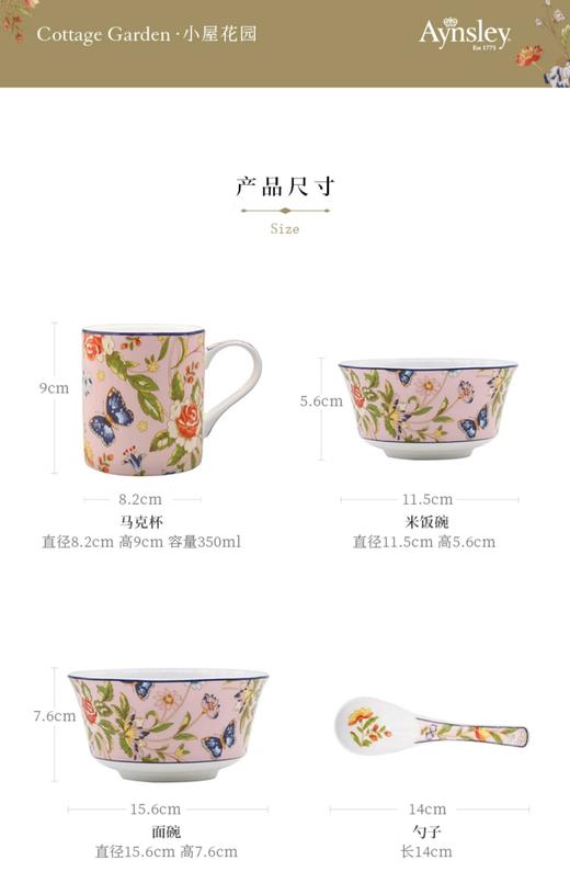 【样品特惠6折无原包装，仅1套，无货退款】英国Aynsley安斯丽小屋花园骨瓷家用饭碗面碗一人食碗盘餐具套装 商品图4