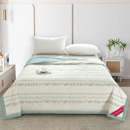 洁丽雅 蔷薇花蔓美肤被 JLY-CB923 200*230cm 商品图0