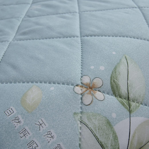 【洁丽雅】 花之恋亲肤被 JLY-CB931 150*200cm 商品图2