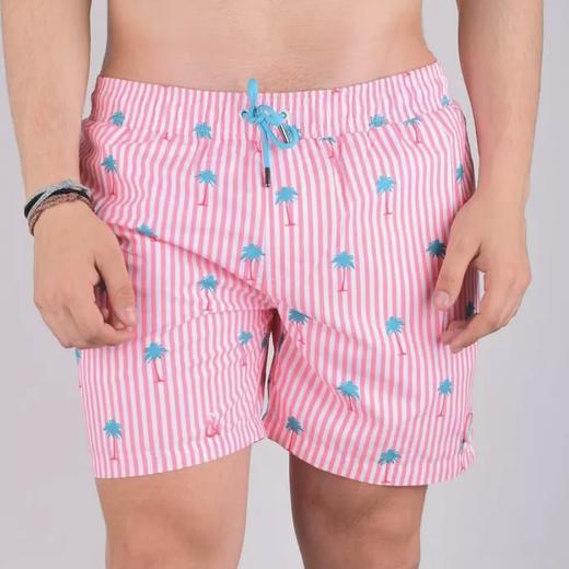 COLOURS & SON 男士印花夏日运动短裤 休闲夏季速干宽松时尚薄款 商品图0