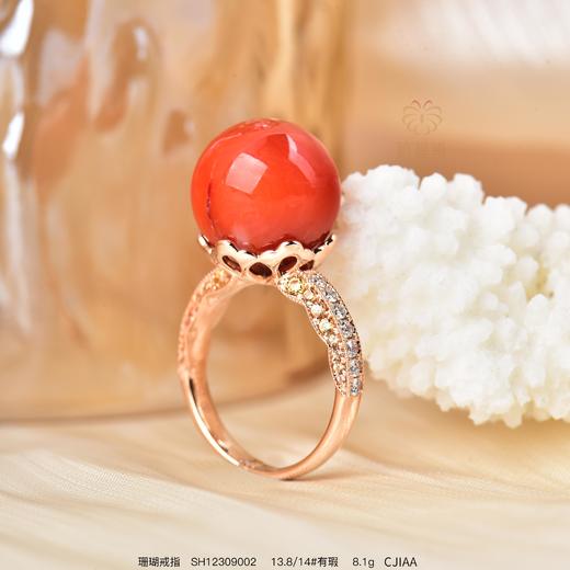 【有求必应】珊瑚戒指   SH12309002 商品图0