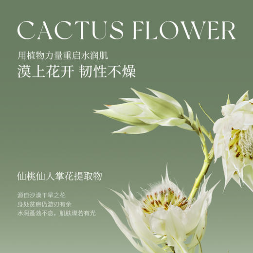【会员购买送10倍积分】花皙蔻仙人掌花补水保湿维稳水乳套装 商品图2