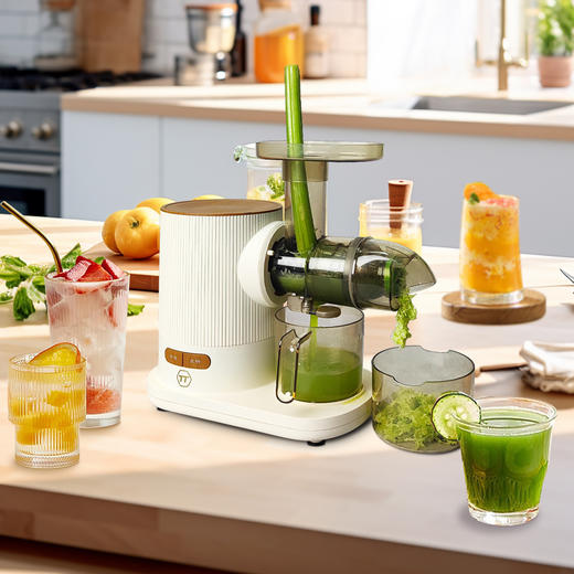 TT慢磨原汁机榨汁机 T330W 商品图8