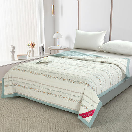 洁丽雅 蔷薇花蔓美肤被 JLY-CB923 200*230cm 商品图1