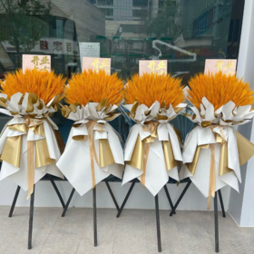 开业花篮（大麦500支）