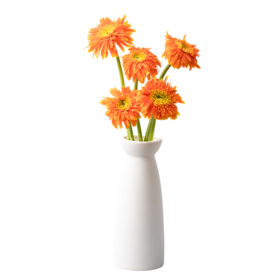 花点时间（Reflower）花束-童心未泯（非洲菊5枝）