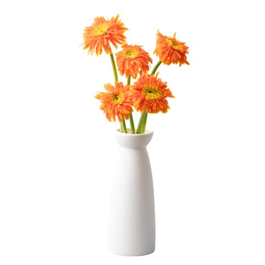 花点时间（Reflower）花束-童心未泯（非洲菊5枝） 商品图0