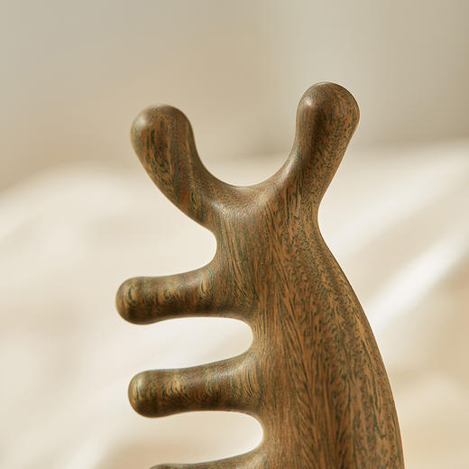 初心| 檀木海豚按摩梳经络梳 商品图3