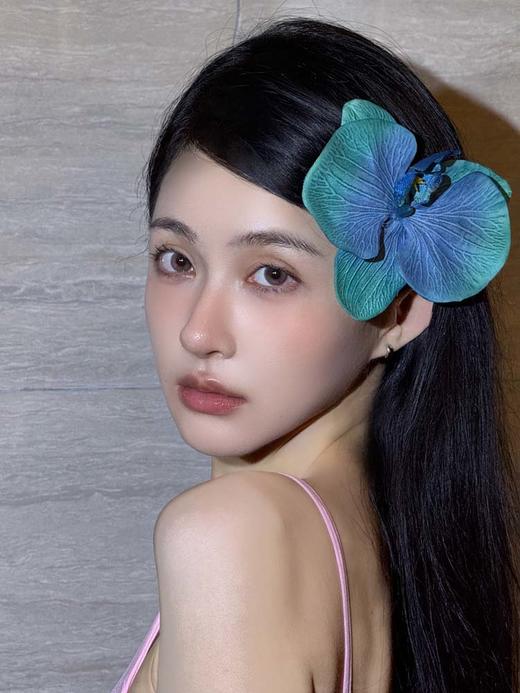 sugarplum糖豆 年抛 海棠岛 直径14.2mm着色13.4mm 商品图2