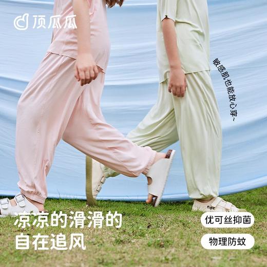 3部顶瓜瓜儿童素色防蚊裤DTZJJ-AT6014 商品图0