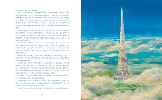 恩德精装2册 毛毛+永远讲不完的故事（精装） 商品图7