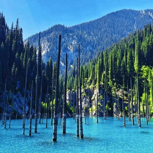 新疆伊犁+哈萨克斯坦 | 外伊犁谷地6天5晚 商品图5