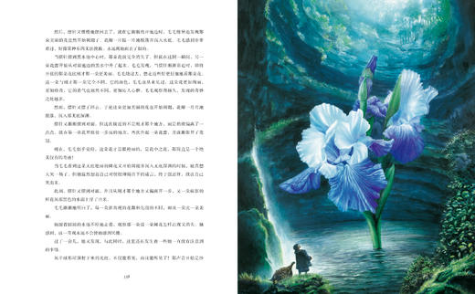 恩德精装2册 毛毛+永远讲不完的故事（精装） 商品图4