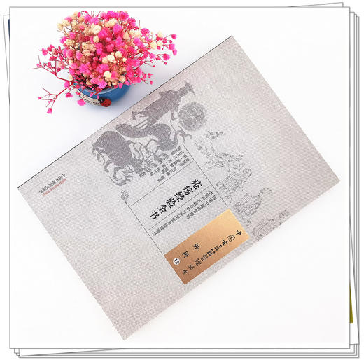 现货【出版社直销】疮疡经验全书 (宋)窦汉卿 辑著 （中国古医籍整理丛书）中国中医药出版社 中医古籍 书籍 商品图2