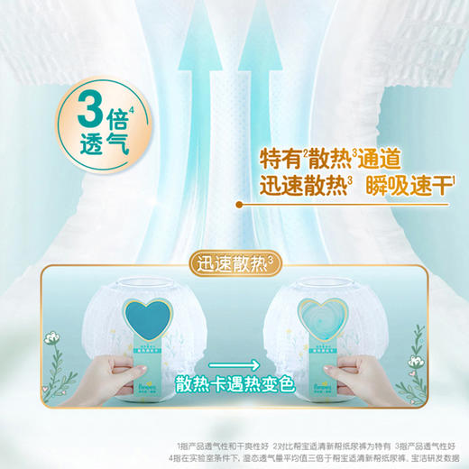 帮宝适一级帮拉拉裤（L-XXXL）新旧包装随机发货 商品图5