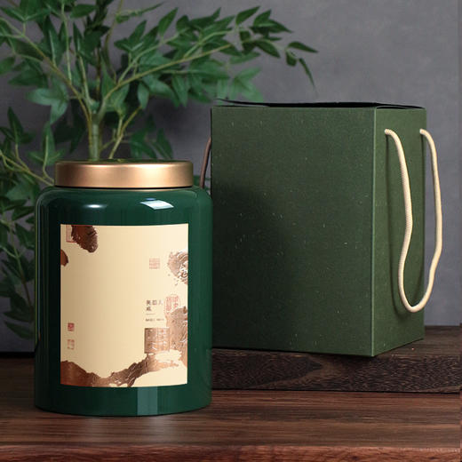 YP-603高罐 超大单罐一提  配卡盒【绿色·烤漆罐】55一套/一件8套 商品图1