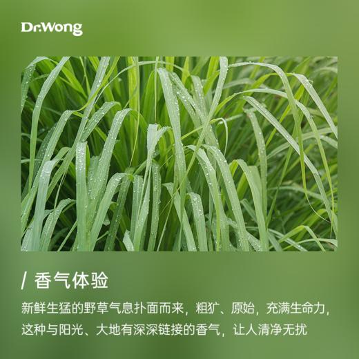 香茅 单方精油50ml 商品图1