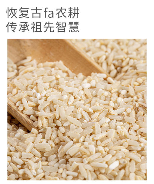 【凤品优选】龙之行 江西赣州古法有机胚芽米 2.5kg 经过欧盟518项检测农残残留为0 商品图5