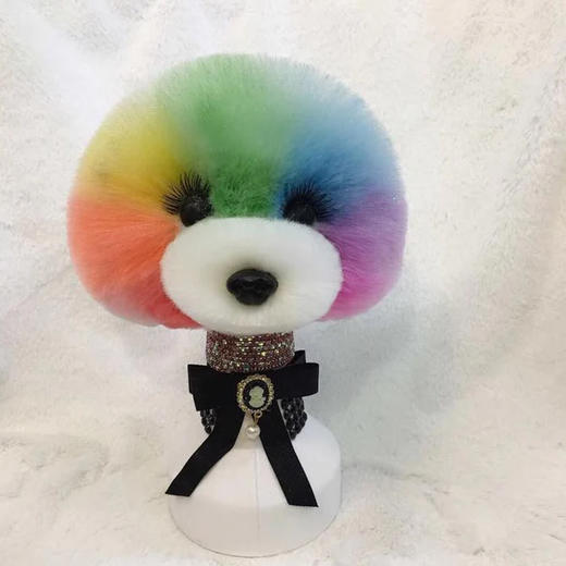 初级泰迪毛 OPAWZ小爪印 商品图2