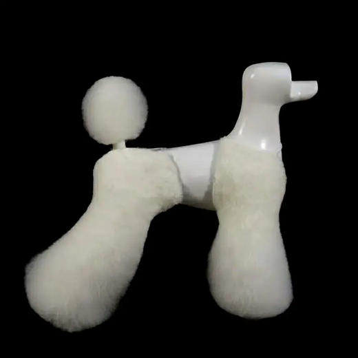 学习用腿毛（4只） OPAWZ小爪印 商品图2