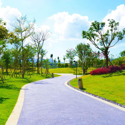 兴隆希尔顿逸林滨湖度假酒店 商品图2