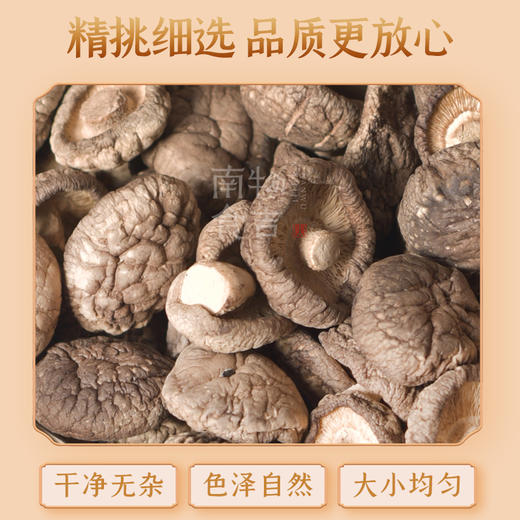 恩施 南物食吉香菇150g 商品图2
