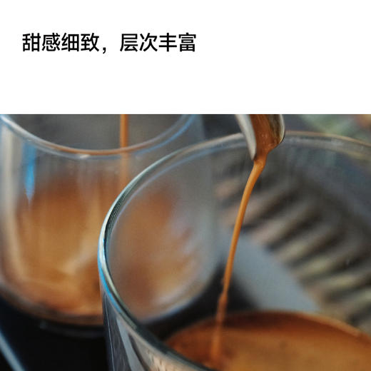 野柚子4.0  浅烘意式拼配咖啡豆 商品图2