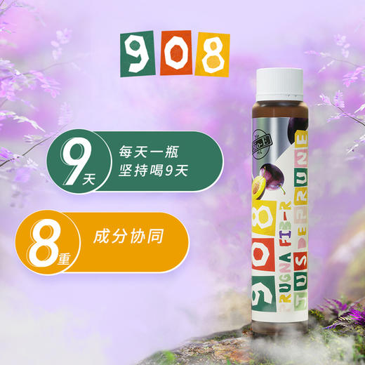 Bioe西梅酵素饮植物果蔬孝素益生元清肠 商品图0