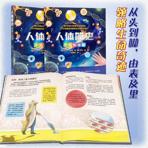 人体简史（少儿彩绘版） 商品图5