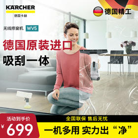 KARCHER 原装进口无线擦窗机 镜面清洁机刮吸一体WV5 WV5-35分钟续航
